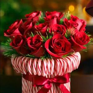 Meet your Posher, Shelly